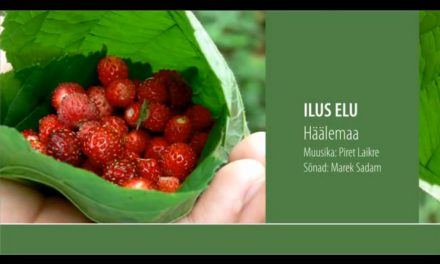 Ilus elu